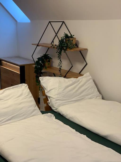 Studio Im Zentrum Tiki 2, Naehe Bergbahn Appartement Hinterstoder Buitenkant foto