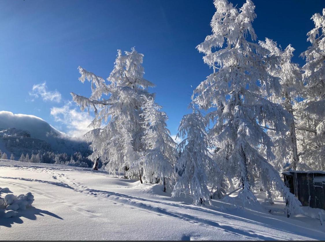 Studio Im Zentrum Tiki 2, Naehe Bergbahn Appartement Hinterstoder Buitenkant foto